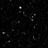 0190/1А </br>Андромеда черная